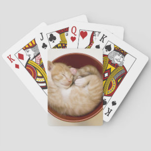 Sleeping Kitten Playing Cards