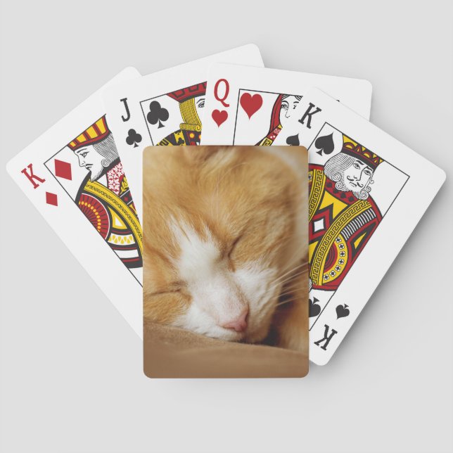 Sleeping Kitten Playing Cards (Back)
