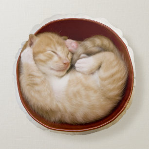 Sleeping Kitten Round Cushion