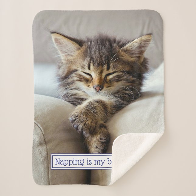 Sleeping Kitten Sherpa Blanket (Front)
