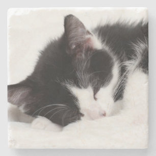 Sleeping Kitten Stone Coaster