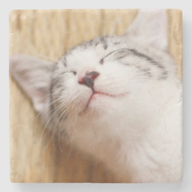 Sleeping Kitten Stone Coaster (Front)