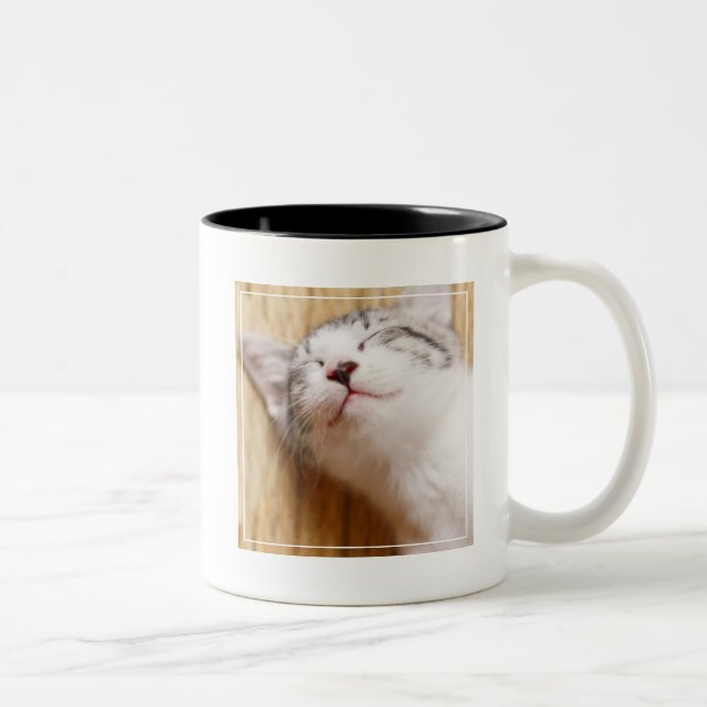 Sleeping Kitten Two-Tone Coffee Mug (Right)