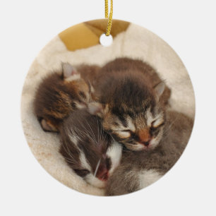 Sleeping kittens ceramic tree decoration