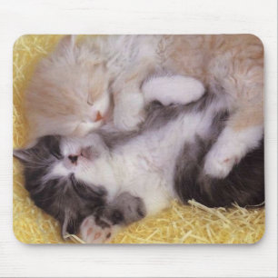Sleeping Kittens Mouse Pad
