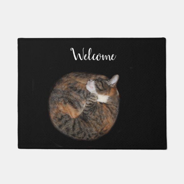 Sleeping kitty doormat (Front)