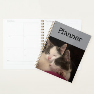 Sleeping kitty's planner