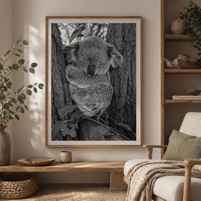 Sleeping Koala Australian Wildlife Poster (Creator Uploaded)