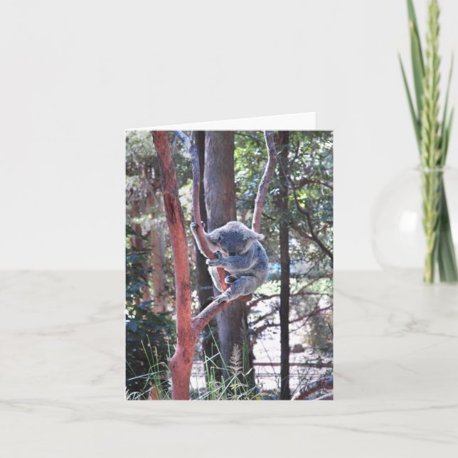 Sleeping Koala Bear ~ Notecard (Front)