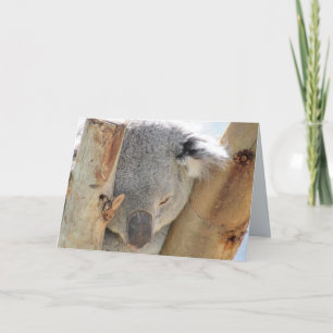Sleeping Koala Greeting Card