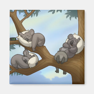 Sleeping Koala Magnet