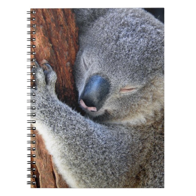 Sleeping Koala Notebook (Front)