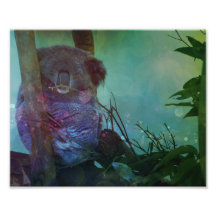 "Sleeping Koala"