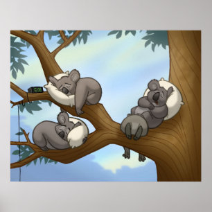 Sleeping Koala Poster