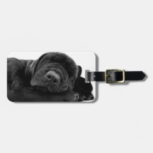 Sleeping Lab Puppy Luggage Tag