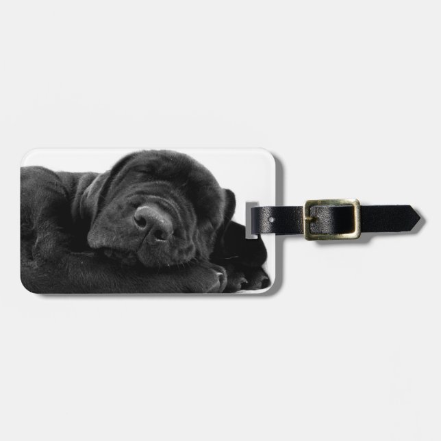 Sleeping Lab Puppy Luggage Tag (Front Horizontal)