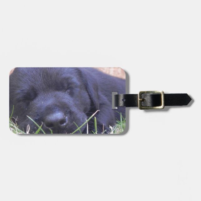 Sleeping Labrador Puppy Luggage Tag (Front Horizontal)