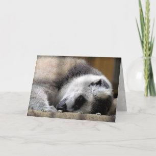 Sleeping Lemur Greeting Card