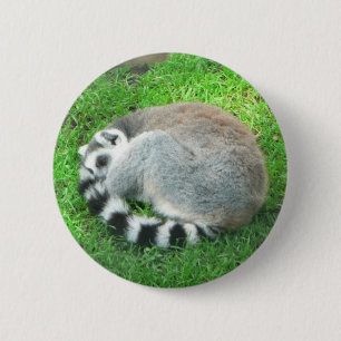 Sleeping Lemur On Grass 6 Cm Round Badge