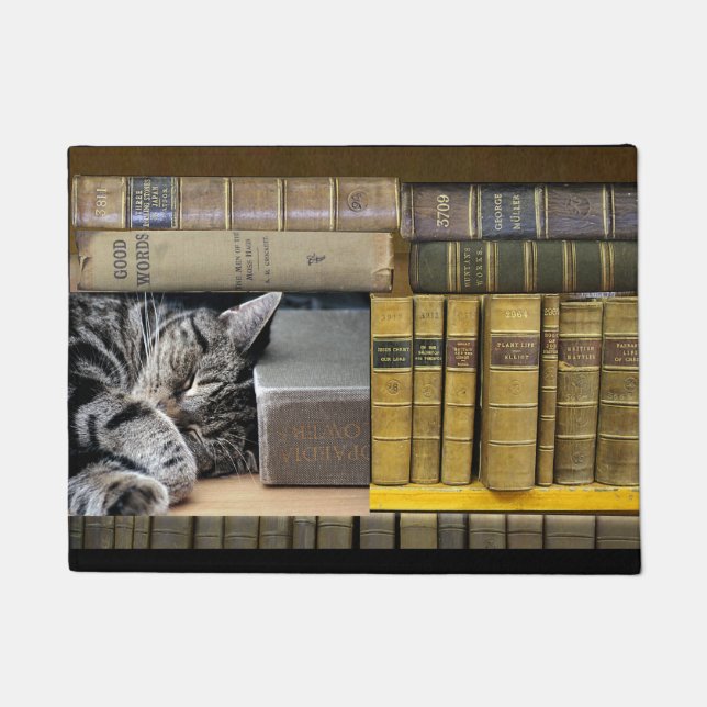 Sleeping Library Book Cat Doormat (Front)