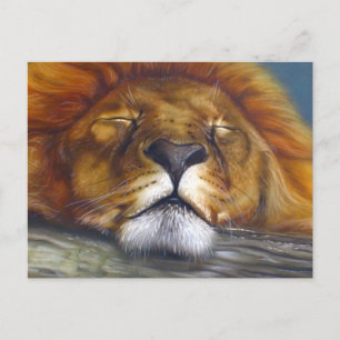 Sleeping Lion Postcard