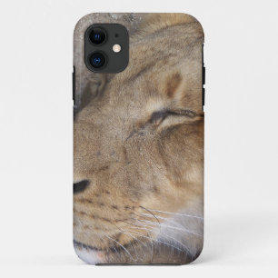Sleeping Lioness Case-Mate iPhone Case