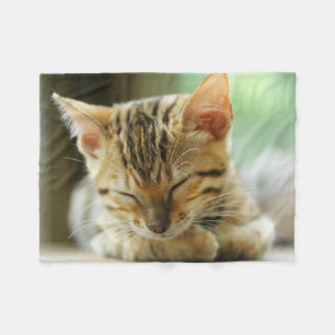 Sleeping Little Baby Kitty Fleece Blanket