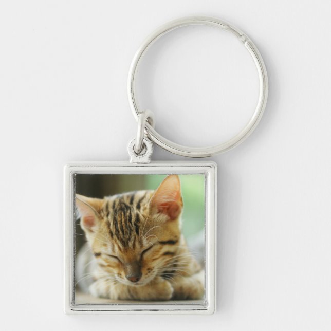Sleeping Little Baby Kitty Key Ring (Front)