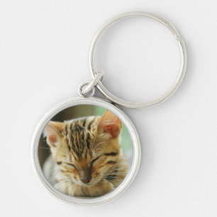 Sleeping Little Baby Kitty Key Ring