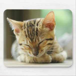 Sleeping Little Baby Kitty Mouse Pad