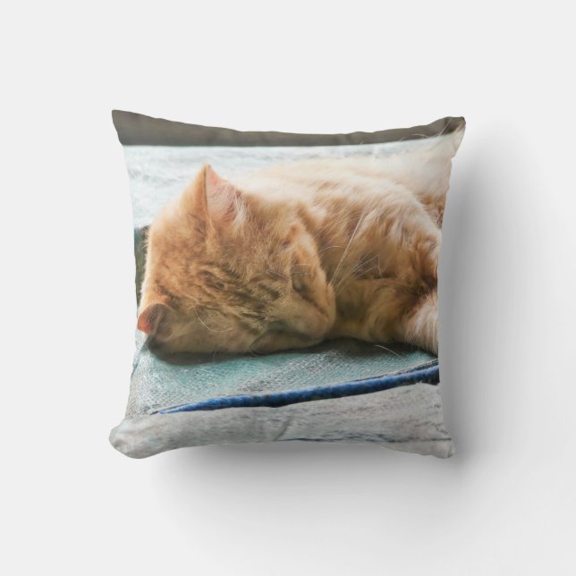 Sleeping Longhaired Ginger Cat Cushion (Front)