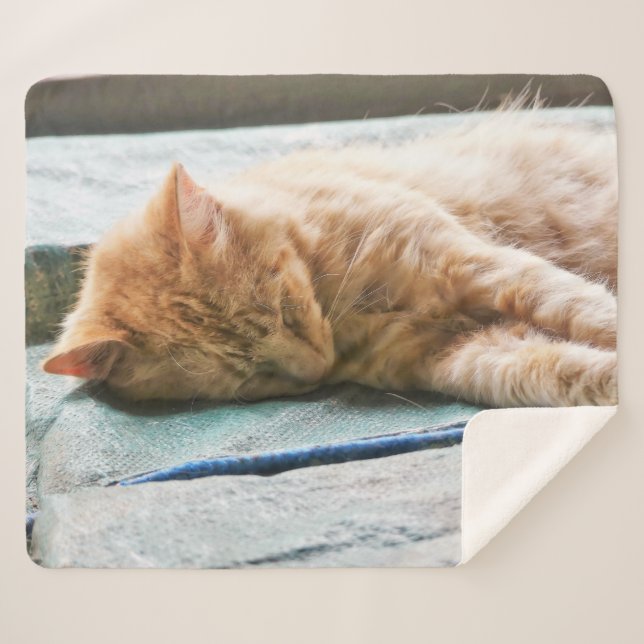Sleeping Longhaired Ginger Cat Fleece Blanket (Front (Horizontal))