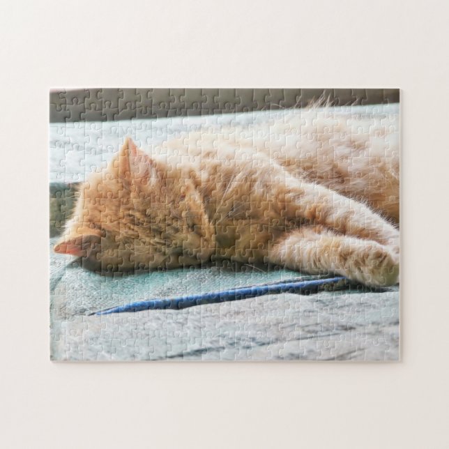 Sleeping Longhaired Ginger Cat Jigsaw Puzzle (Horizontal)