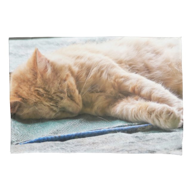 Sleeping Longhaired Ginger Cat Pillowcase (Front)
