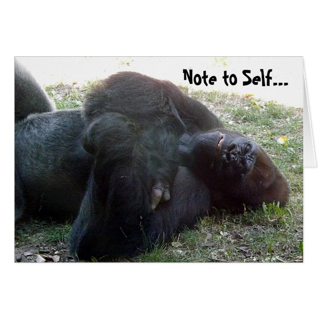 Sleeping Lowland Gorilla Hangover Never Drink (Front Horizontal)