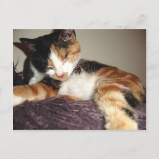 Sleeping? no I am just closing my eyes! Postcard