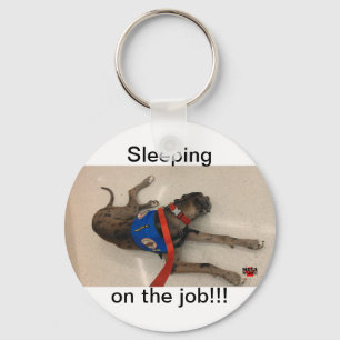 Sleeping on the job key ring