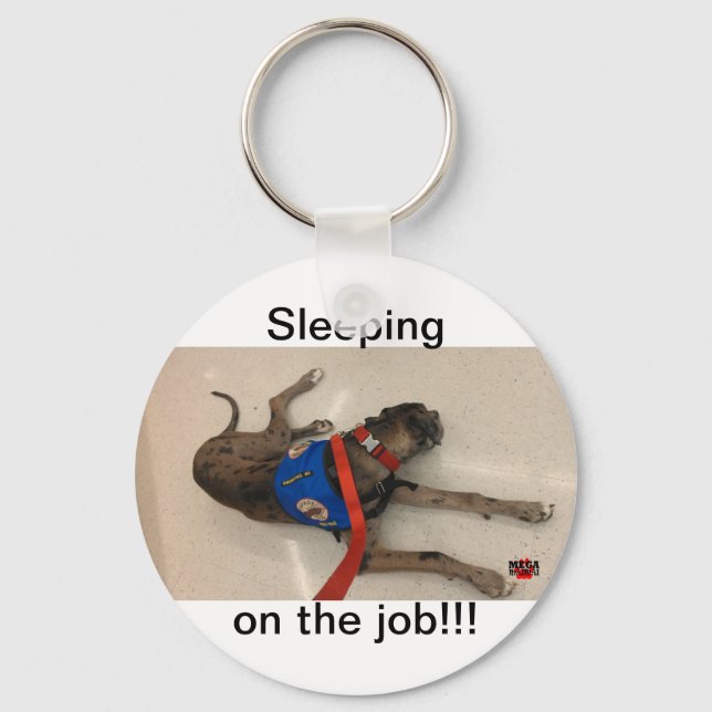 Sleeping on the job key ring (Front)