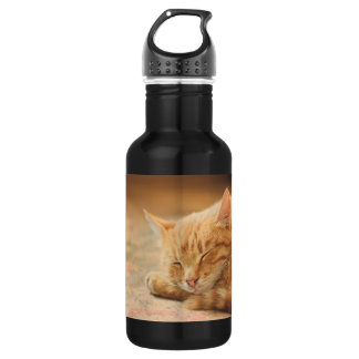 Sleeping Orange Tabby Cat 532 Ml Water Bottle
