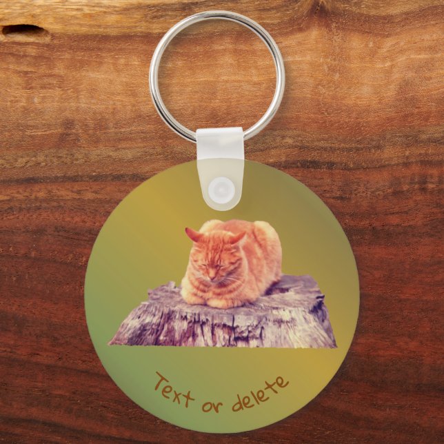 Sleeping Orange Tabby Cat Animal Personalised Key Ring (Front)
