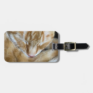 Sleeping orange tabby cat luggage tag