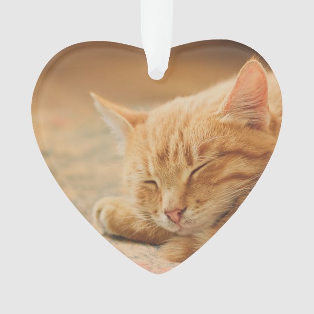 Sleeping Orange Tabby Cat Ornament (Front)