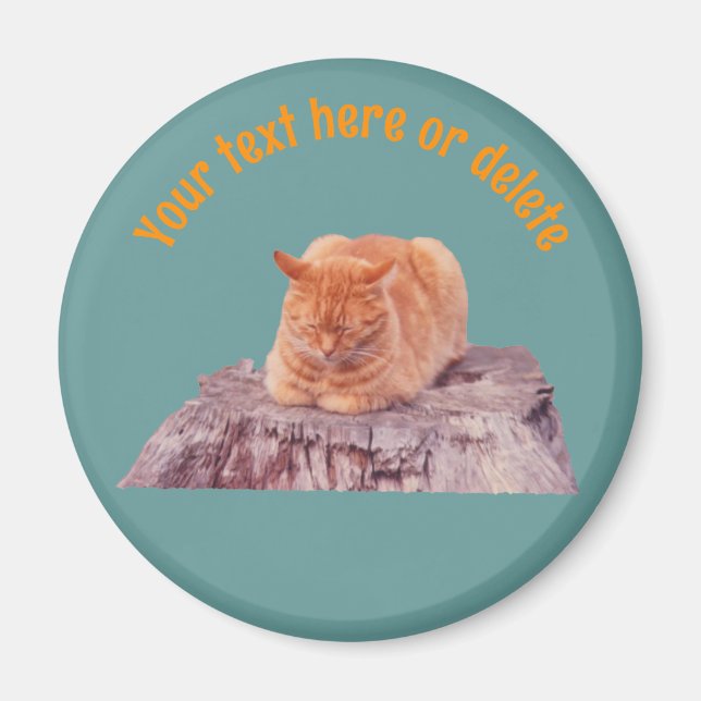 Sleeping Orange Tabby Cat Personalised Magnet (Front)