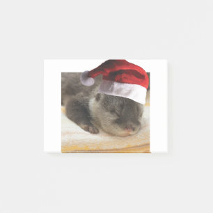 Sleeping-Otter Post-it Notes