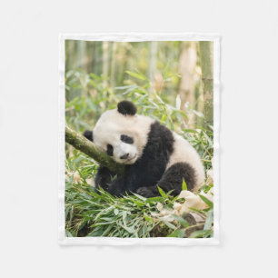 Sleeping Panda in Bamboo Blanket