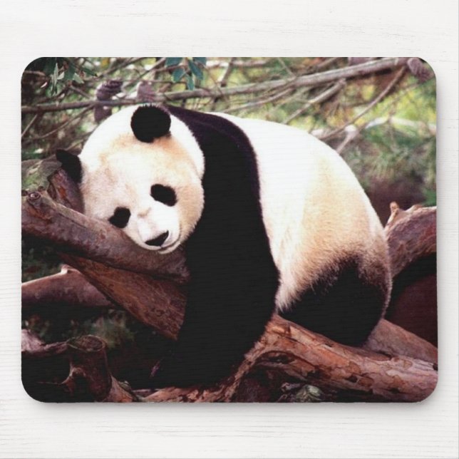 Sleeping Panda Mouse Pad (Front)