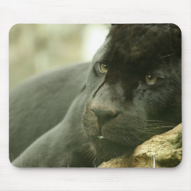 Sleeping Panther Mouse Pad (Front)