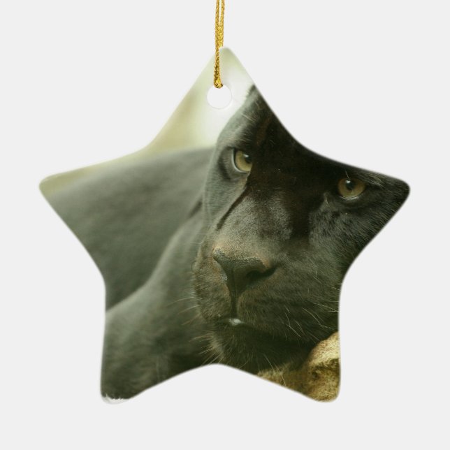 Sleeping Panther Ornament (Front)