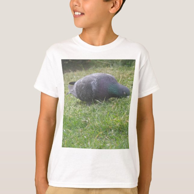 Sleeping Pigeon Kids T Shirt (Front)