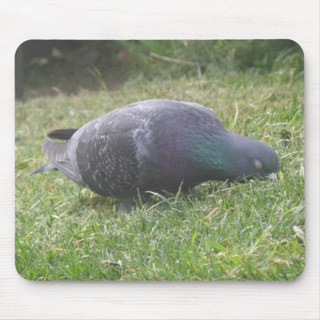 Sleeping Pigeon Mousepad (Front)